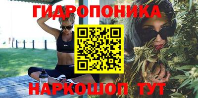 хмурый Дубна