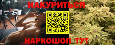 стафф Донецк