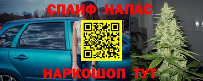 хмурый Дубна