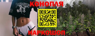 стафф Донецк
