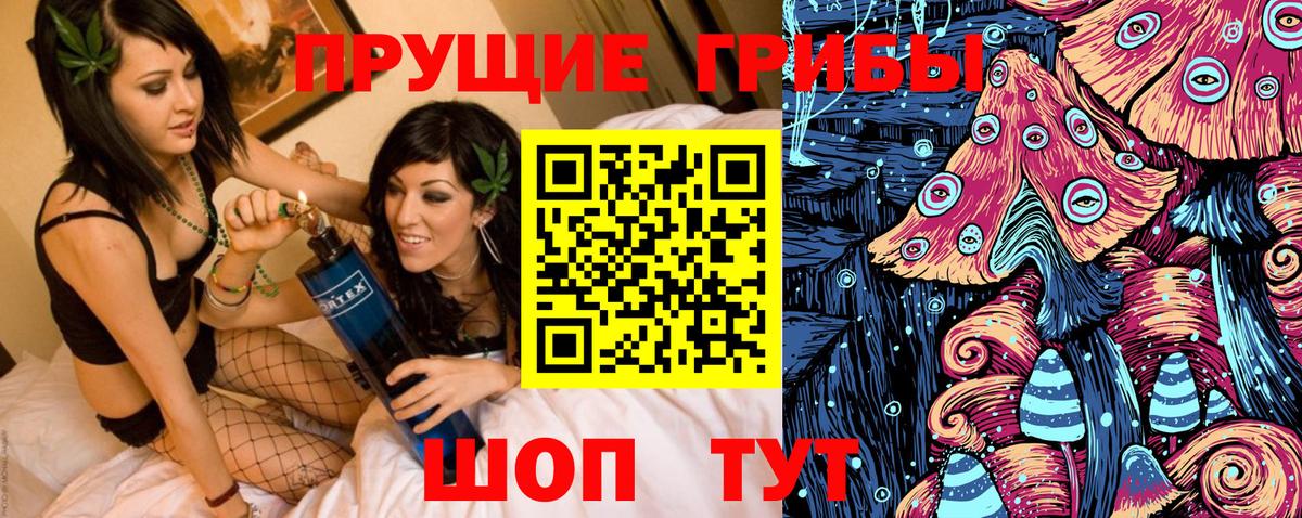 Псилоцибиновые грибы Psilocybine cubensis Магнитогорск